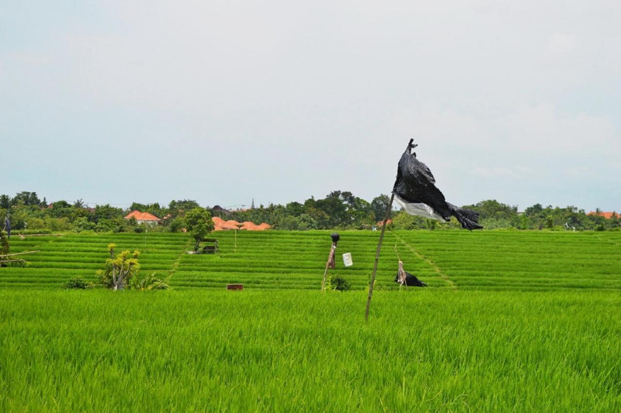 The Bali Dream Villa & Resort Echo Beach Canggu Dış mekan fotoğraf
