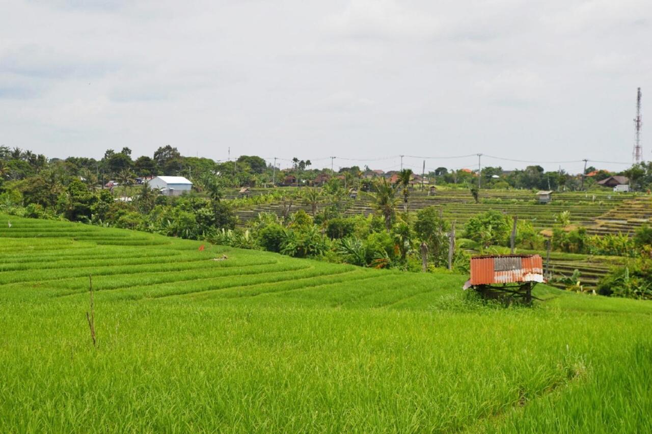 The Bali Dream Villa & Resort Echo Beach Canggu Dış mekan fotoğraf